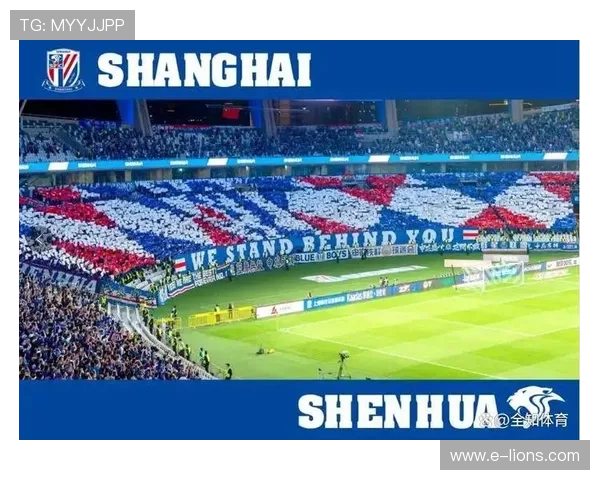 申花客场惜败广岛零比一之夜 申花客场惜败广岛零比一之夜